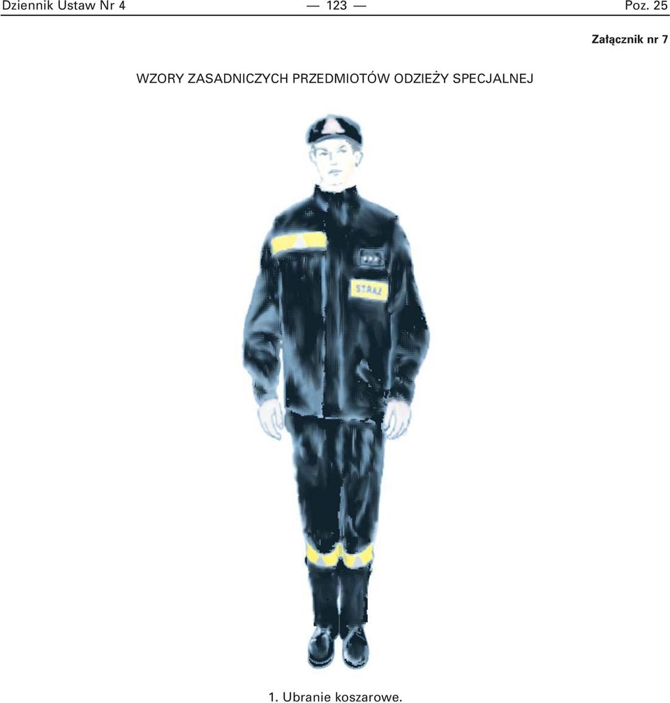 ZASADNICZYCH PRZEDMIOTÓW