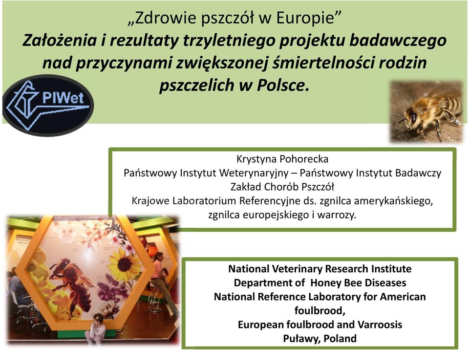 Krystyna Pohorecka Państwowy Instytut Weterynaryjny Państwowy Instytut Badawczy Zakład Chorób Pszczół Krajowe Laboratorium