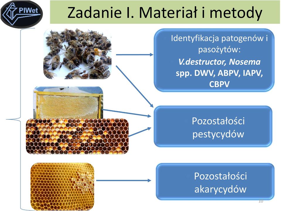 patogenów i pasożytów: V.