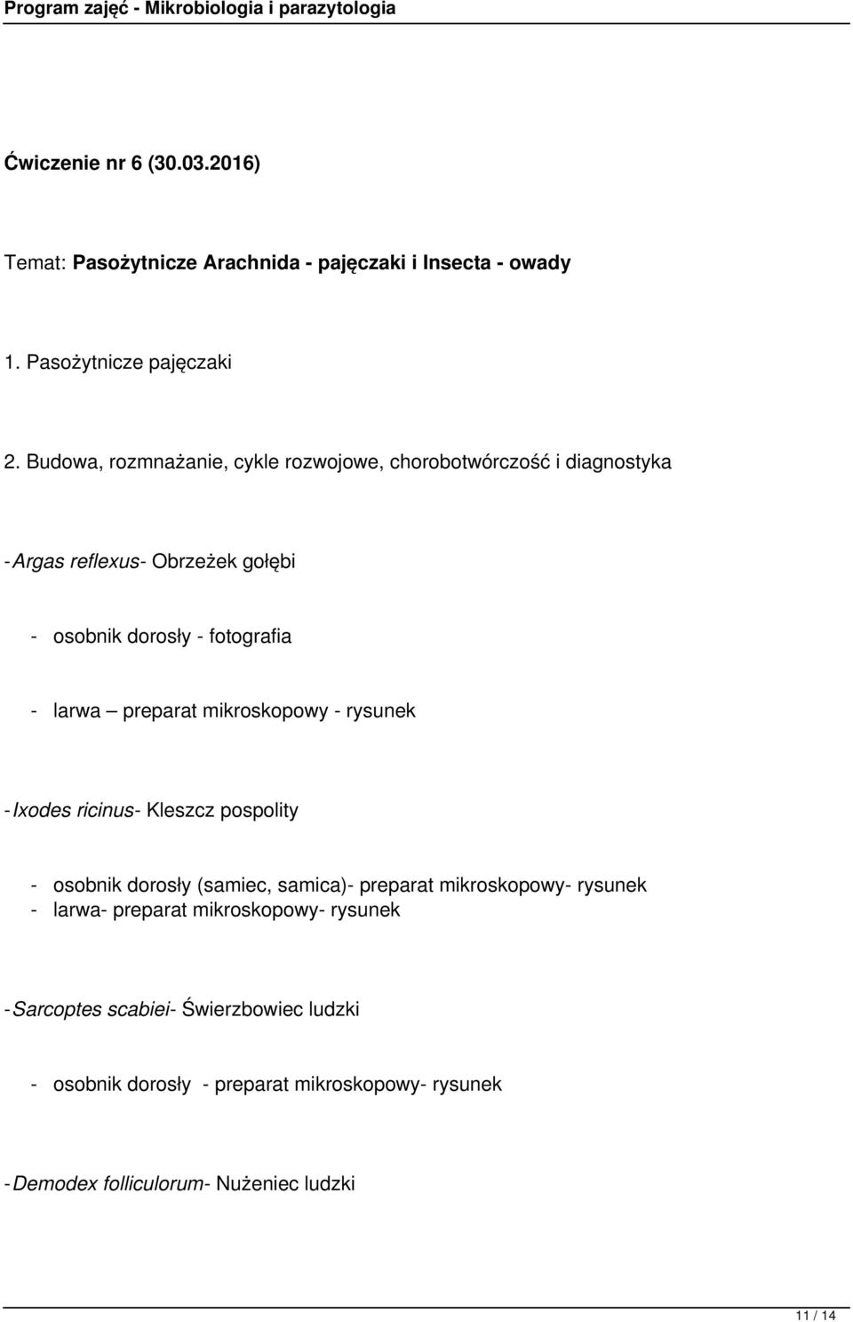 preparat mikroskopowy - rysunek -Ixodes ricinus- Kleszcz pospolity - osobnik dorosły (samiec, samica)- preparat mikroskopowy- rysunek - larwa-