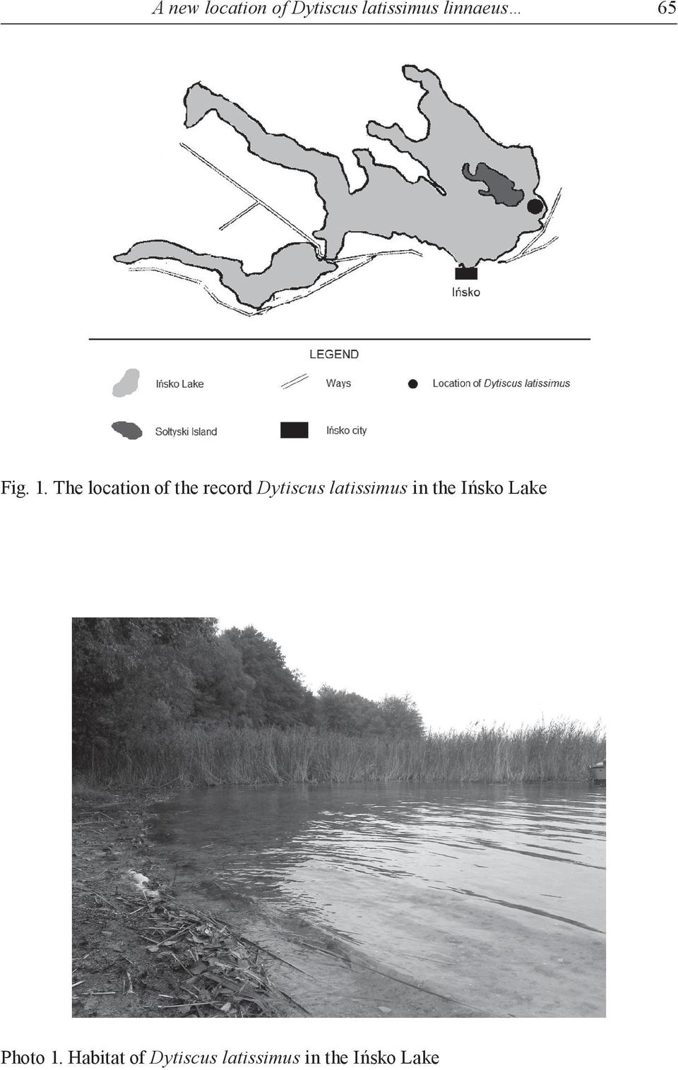 The location of the record Dytiscus