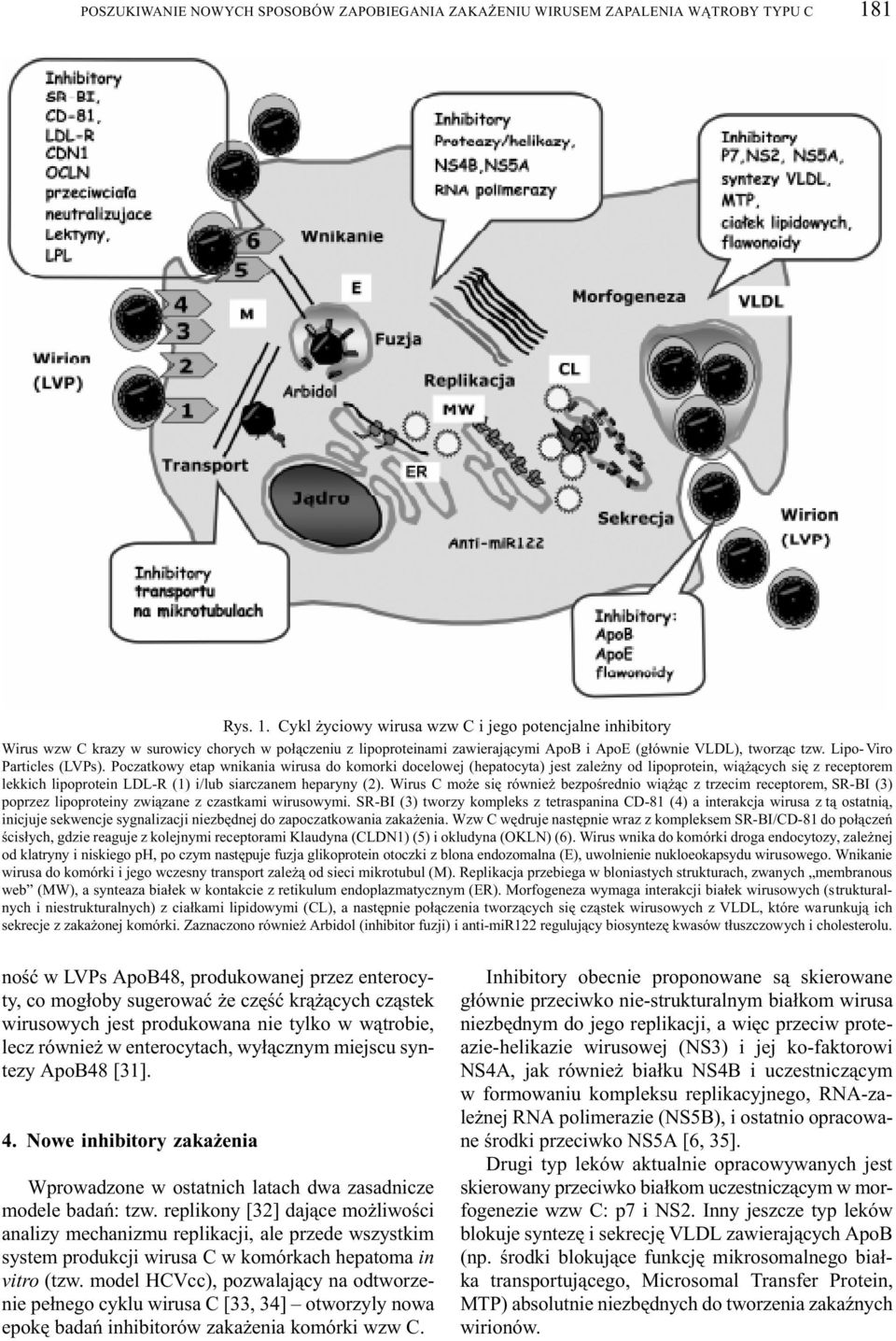 Lipo-Viro Particles (LVPs).