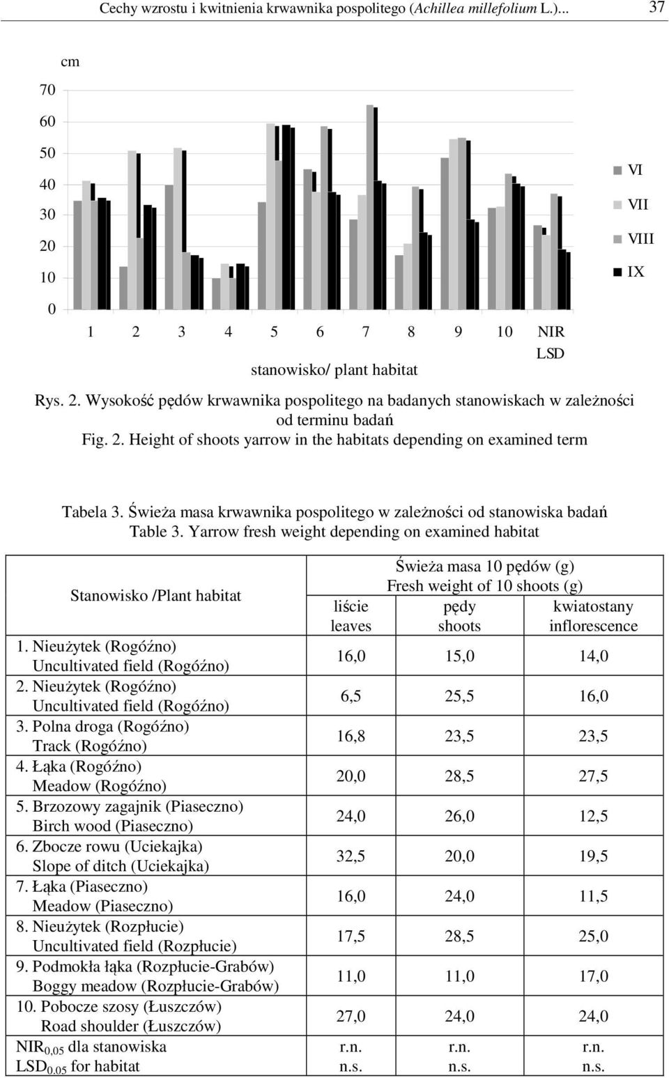 Yarrow fresh weight depending on examined habitat Stanowisko /Plant habitat 1. Nieużytek (Rogóźno) Uncultivated field (Rogóźno) 2. Nieużytek (Rogóźno) Uncultivated field (Rogóźno) 3.