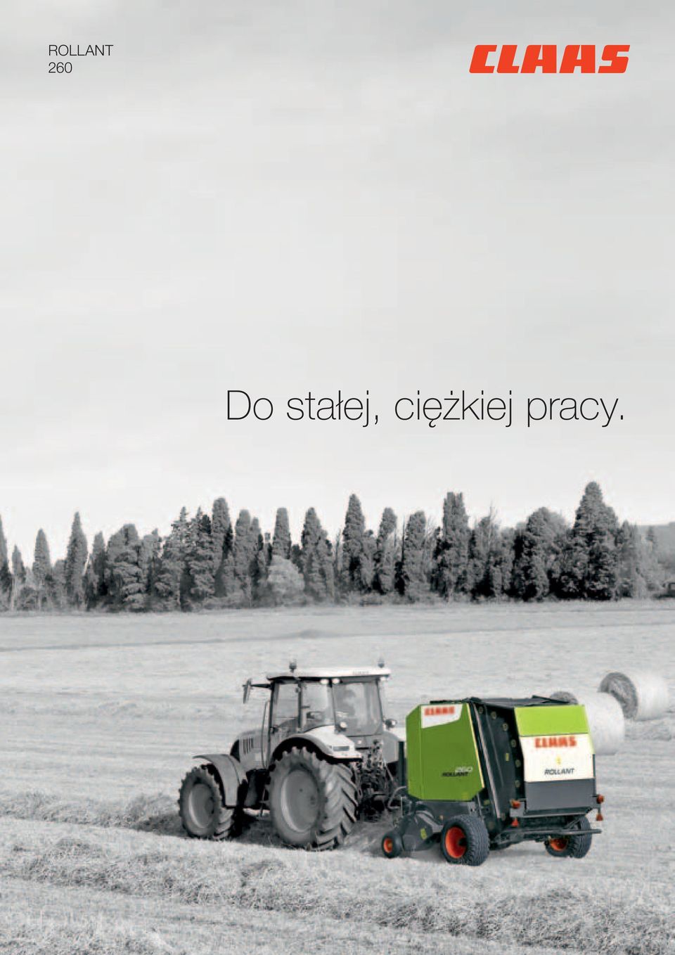 stałej,