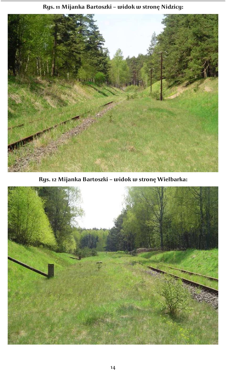 Rys. 12 Mijanka Bartoszki