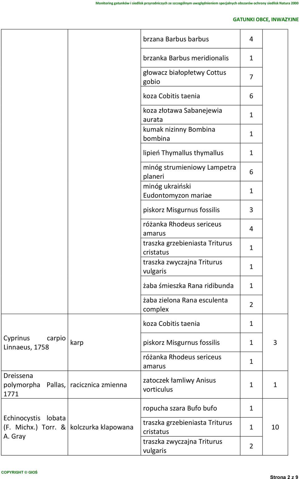 minóg ukraiński Eudontomyzon mariae piskorz Misgurnus fossilis żaba śmieszka Rana ridibunda Cyprinus carpio Linnaeus, 758 Dreissena polymorpha Pallas, 77 karp racicznica zmienna