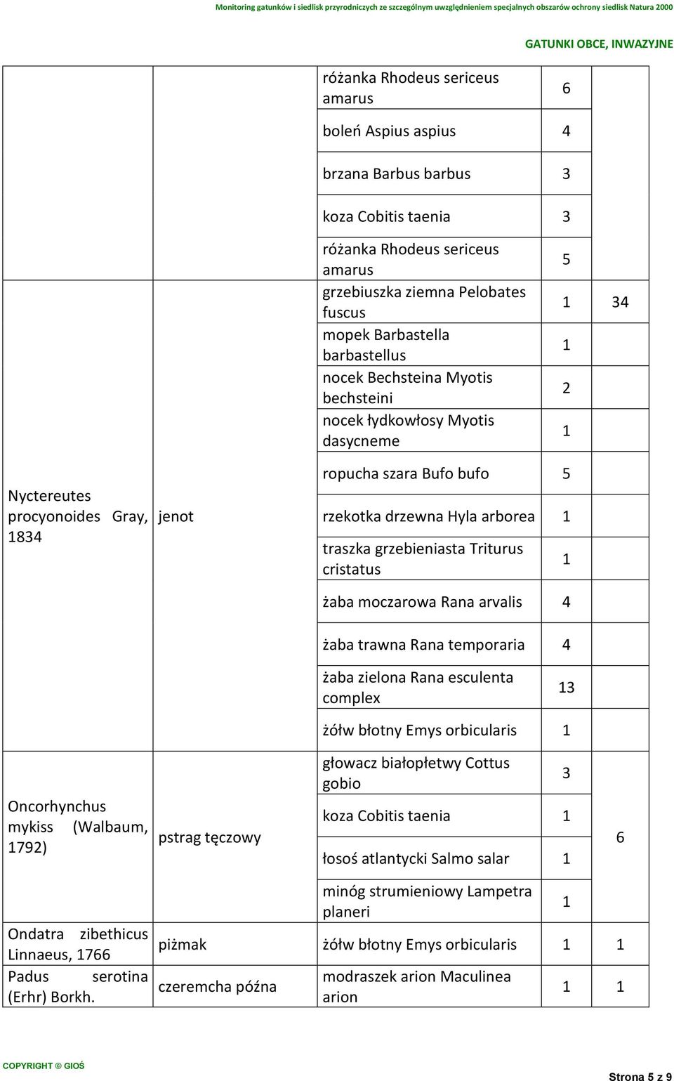 moczarowa Rana arvalis żaba trawna Rana temporaria żółw błotny Emys orbicularis Oncorhynchus mykiss (Walbaum, 79) pstrag tęczowy głowacz białopłetwy Cottus gobio koza Cobitis taenia łosoś