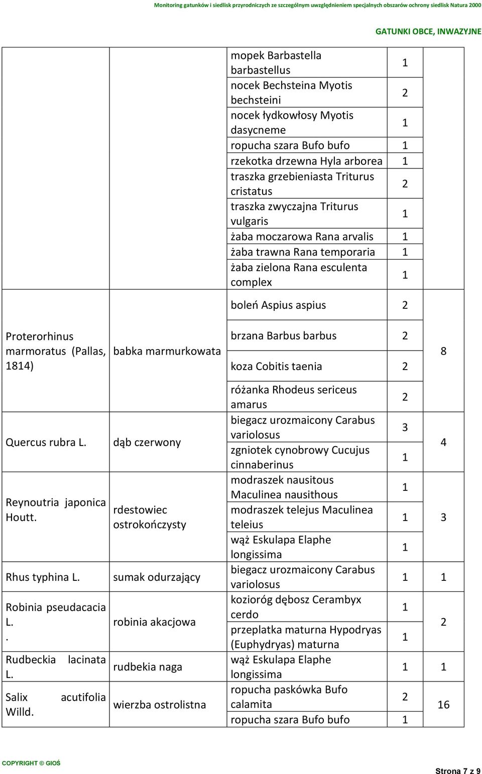 babka marmurkowata brzana Barbus barbus koza Cobitis taenia 8 Quercus rubra L. Reynoutria japonica Houtt. Rhus typhina L. Robinia pseudacacia L.. Rudbeckia L. Salix Willd.