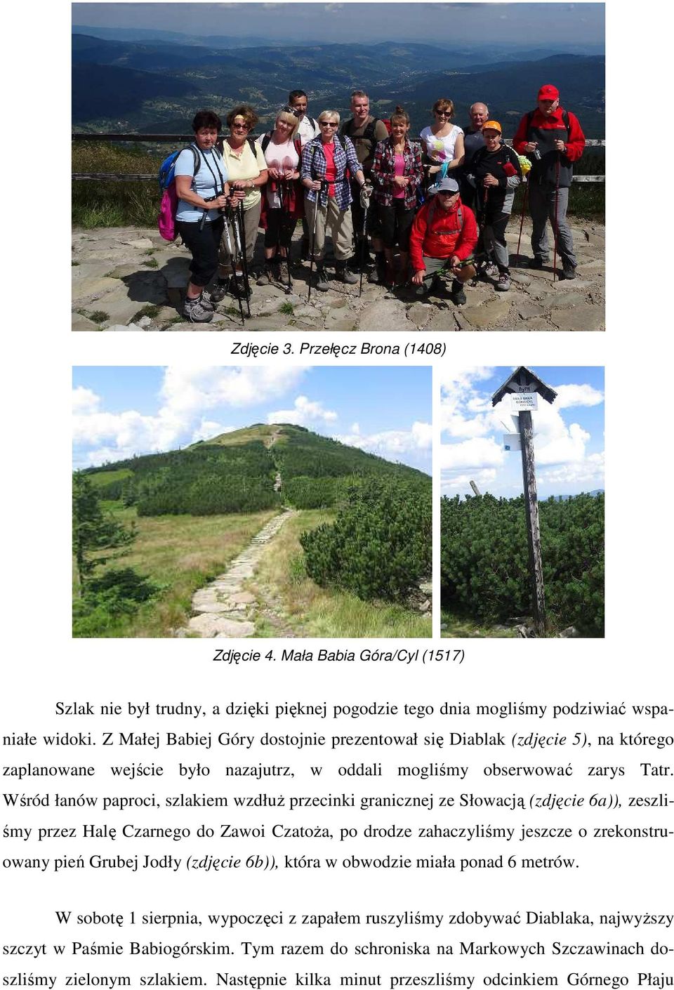 Wśród łanów paproci, szlakiem wzdłuż przecinki granicznej ze Słowacją (zdjęcie 6a)), zeszliśmy przez Halę Czarnego do Zawoi Czatoża, po drodze zahaczyliśmy jeszcze o zrekonstruowany pień Grubej Jodły