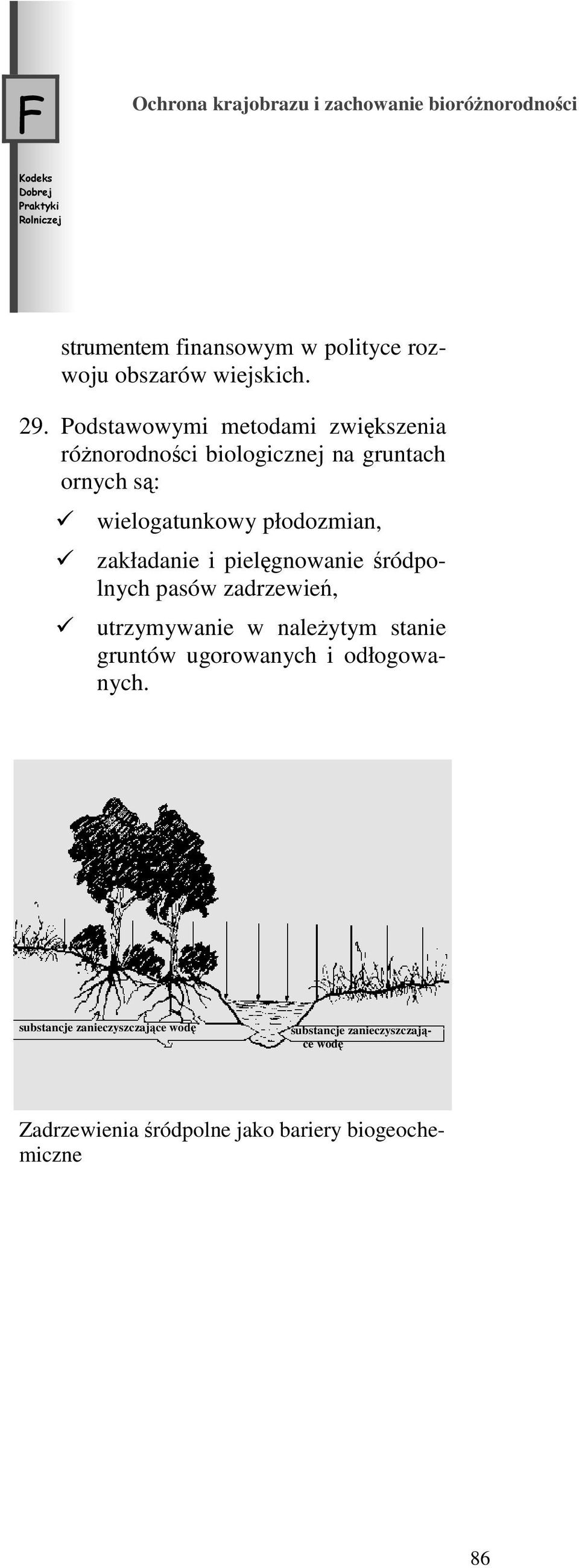 zakładanie i pielęgnowanie śródpolnych pasów zadrzewień, utrzymywanie w należytym stanie gruntów ugorowanych i