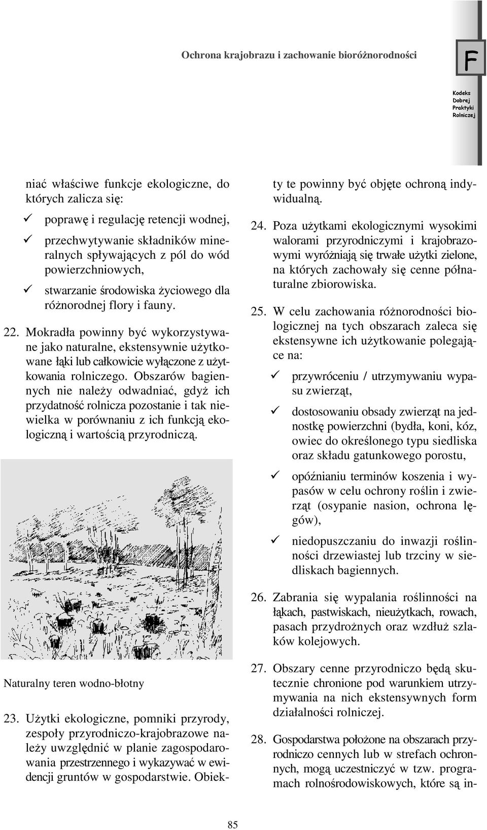Mokradła powinny być wykorzystywane jako naturalne, ekstensywnie użytkowane łąki lub całkowicie wyłączone z użytkowania rolniczego.