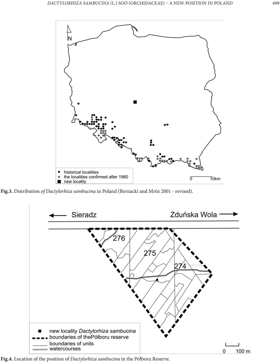 Distribution of Dactylorhiza sambucina in Poland (Bernacki