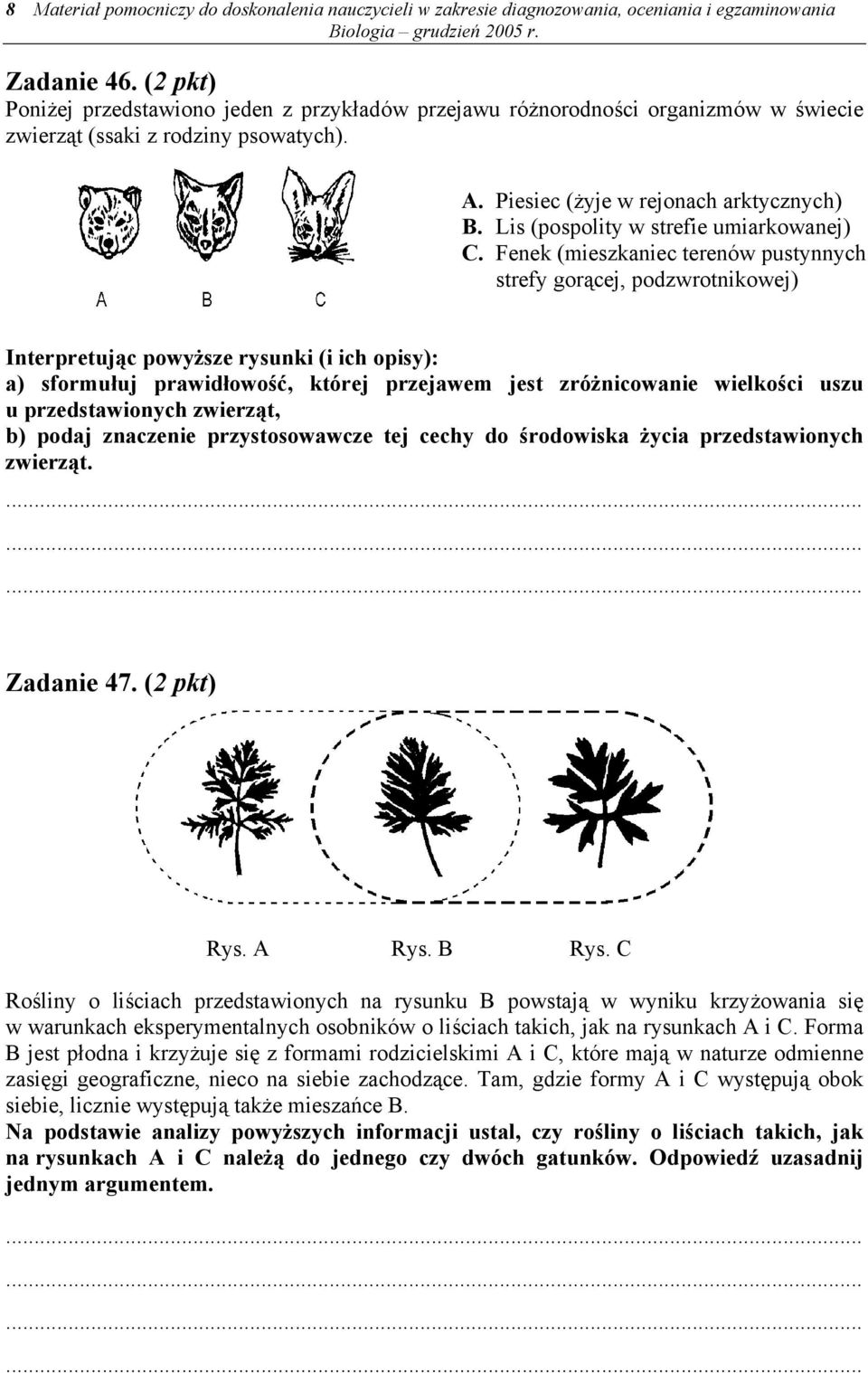 Lis (pospolity w strefie umiarkowanej) C.