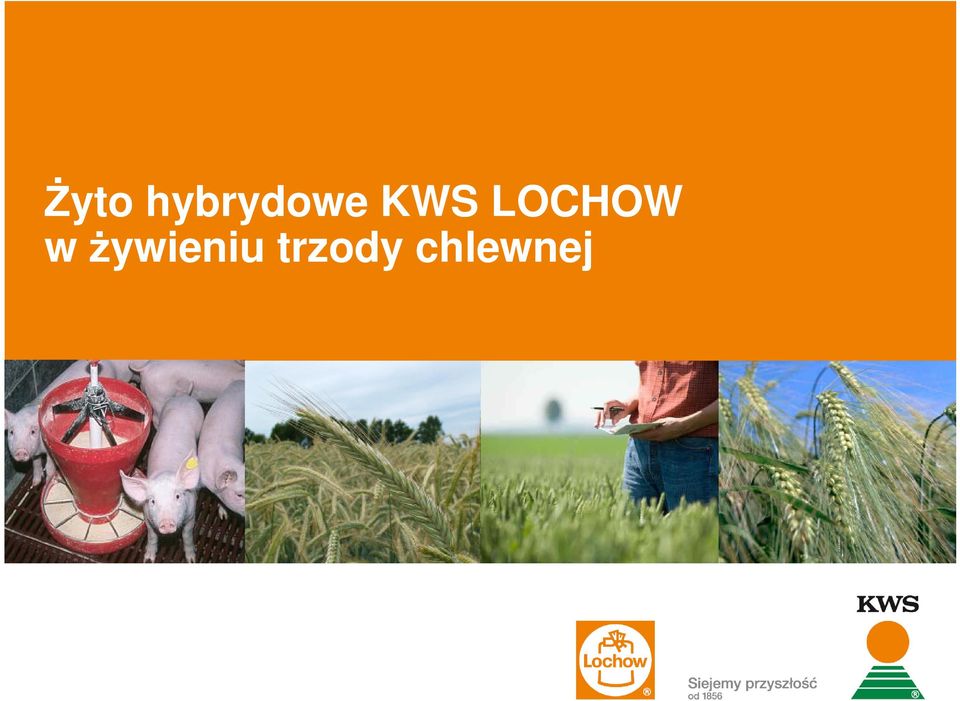KWS LOCHOW w