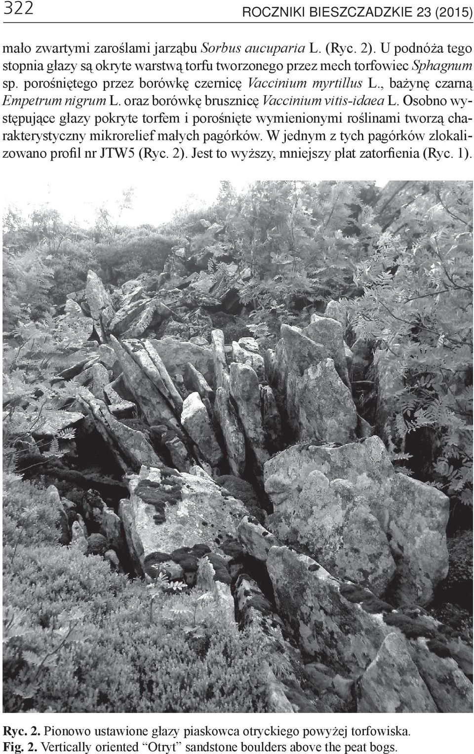 , bażynę czarną Empetrum nigrum L. oraz borówkę brusznicę Vaccinium vitis-idaea L.