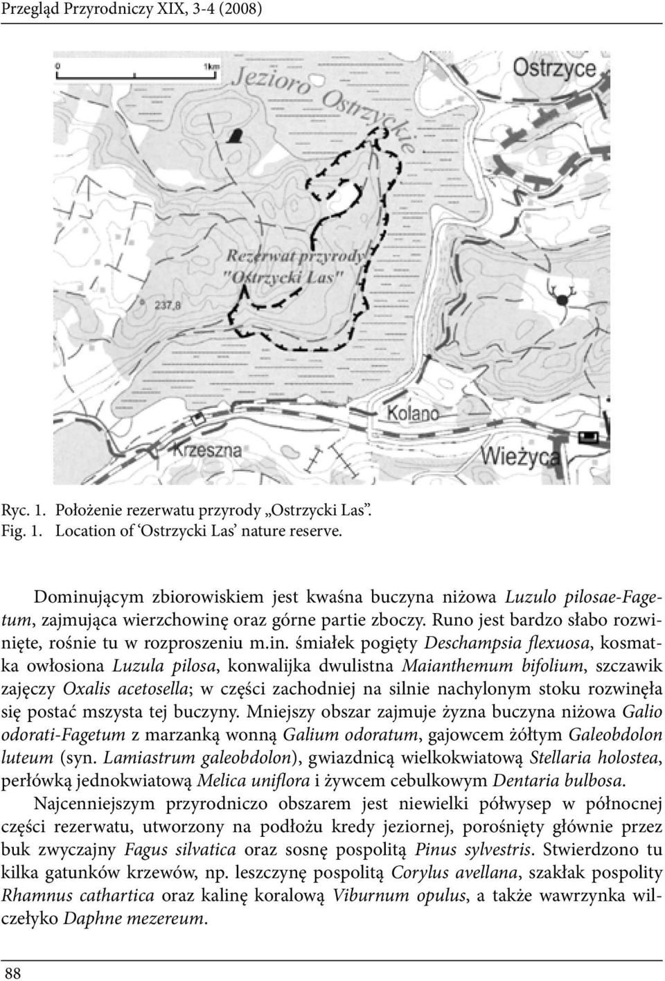 jącym zbiorowiskiem jest kwaśna buczyna niżowa Luzulo pilosae-fagetum, zajmująca wierzchowinę