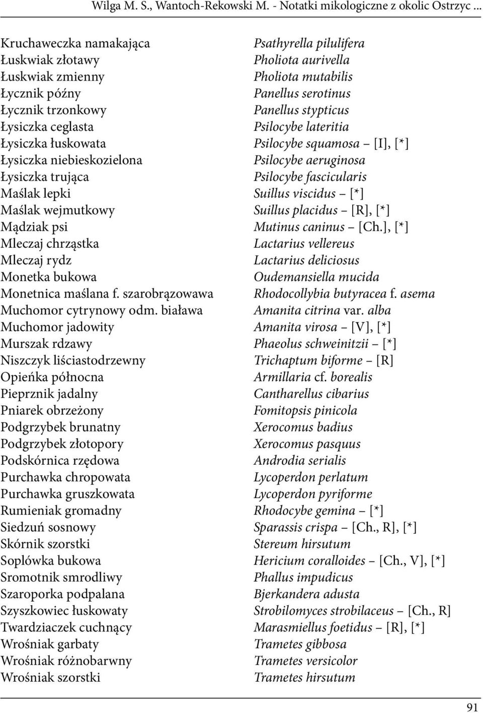 Łysiczka ceglasta Psilocybe lateritia Łysiczka łuskowata Psilocybe squamosa [I], [*] Łysiczka niebieskozielona Psilocybe aeruginosa Łysiczka trująca Psilocybe fascicularis Maślak lepki Suillus
