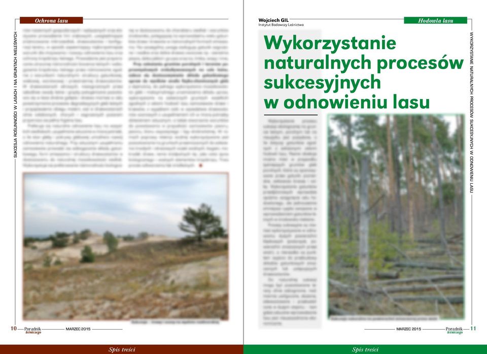 Wykorzystanie naturalnych procesów sukcesyjnych w odnowieniu