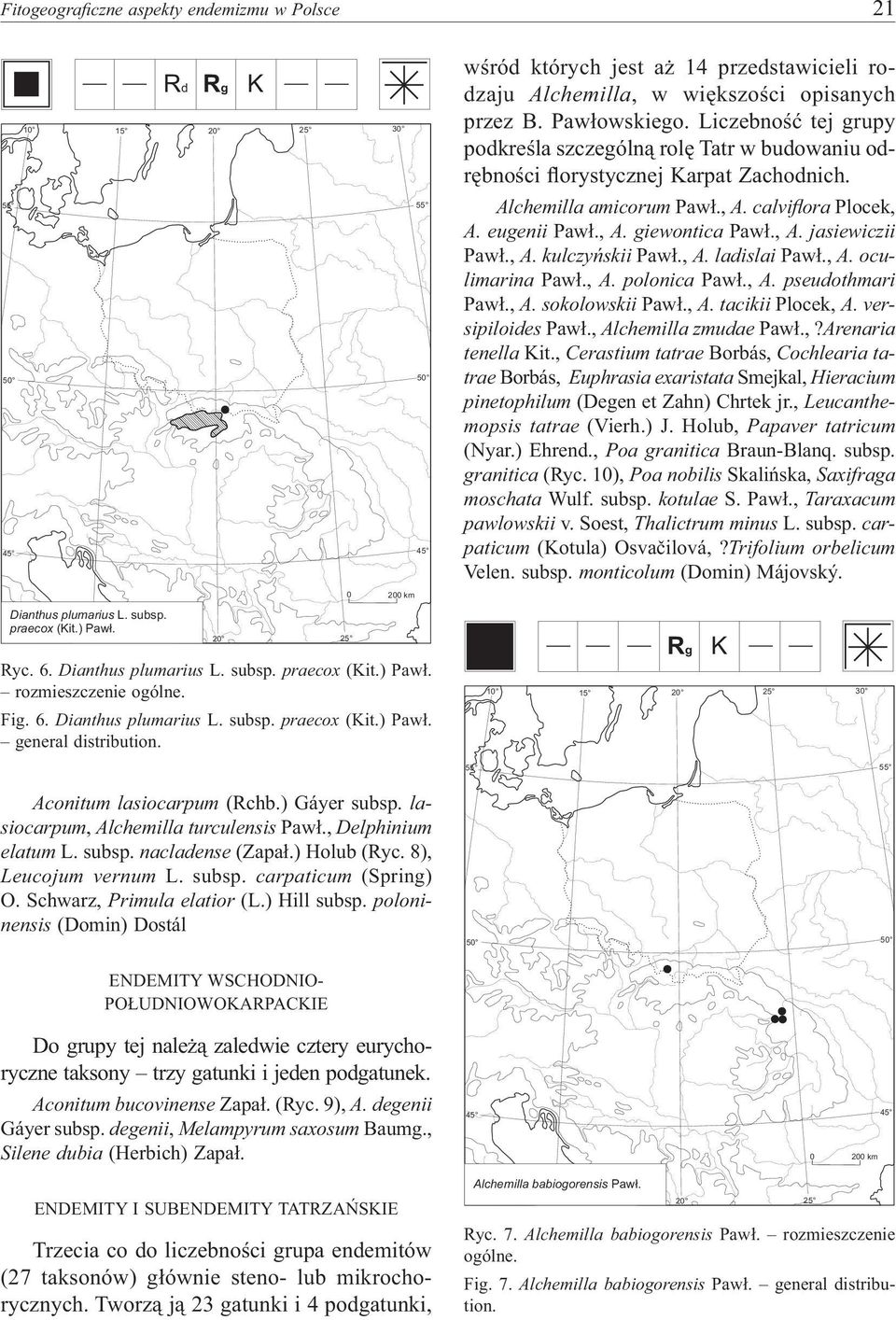 Liczebność tej grupy podkreśla szczególną rolę Tatr w budowaniu odrębności florystycznej Karpat Zachodnich. Alchemilla amicorum Pawł., A. calvifl ora Plocek, A. eugenii Pawł., A. giewontica Pawł., A. jasiewiczii Pawł.