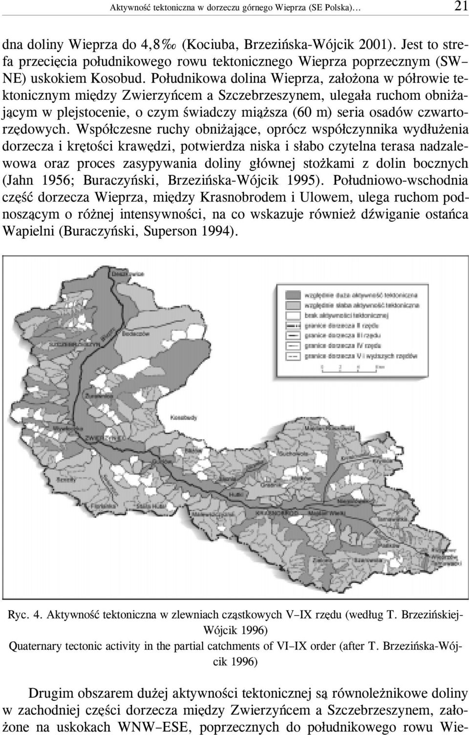 Po³udnikowa dolina Wieprza, za³o ona w pó³rowie tektonicznym miêdzy Zwierzyñcem a Szczebrzeszynem, ulega³a ruchom obni aj¹cym w plejstocenie, o czym œwiadczy mi¹ sza (60 m) seria osadów