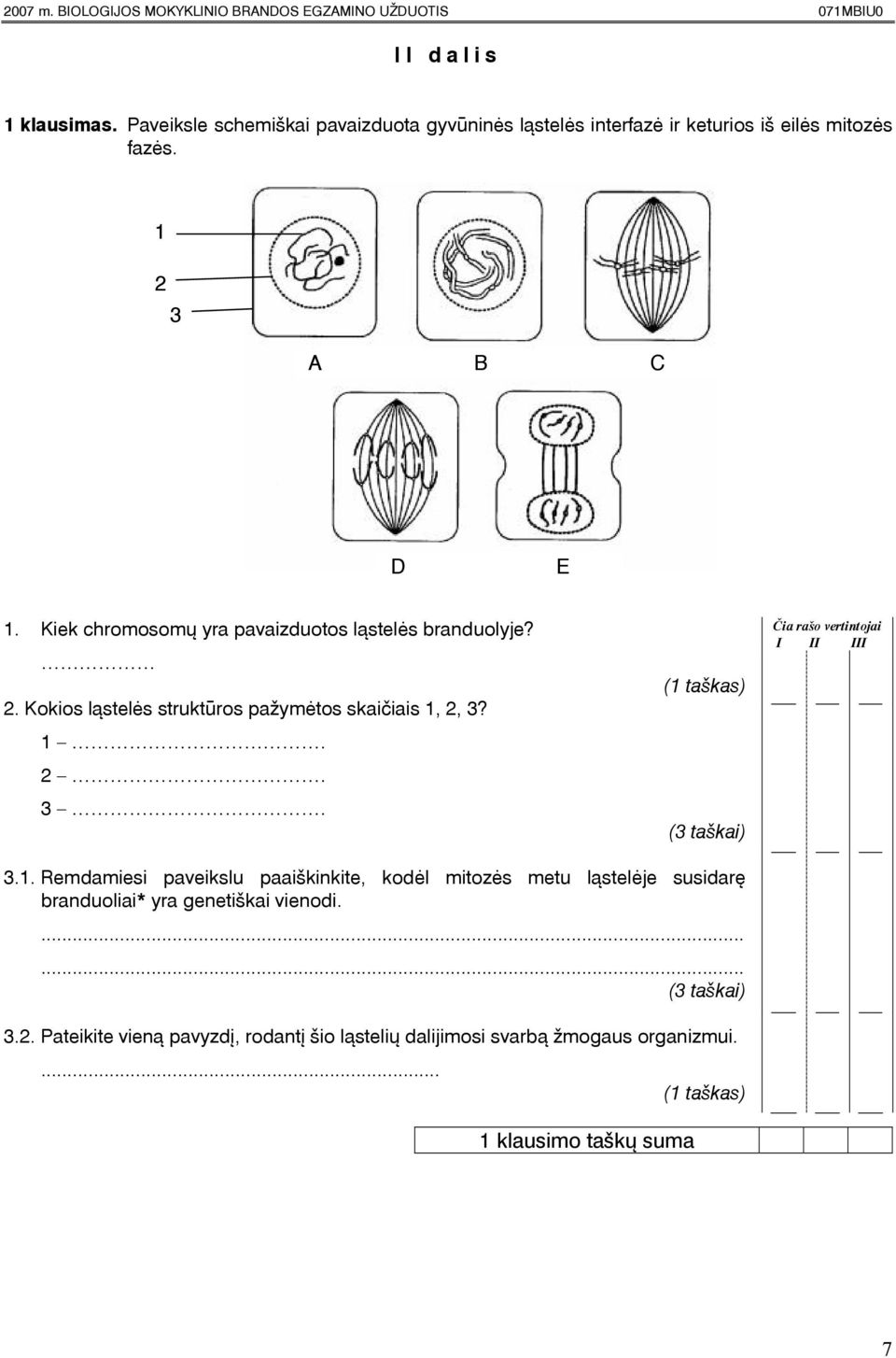 Kiek chromosomø yra pavaizduotos làstelës branduolyje? 2. Kokios làstelës struktûros paþymëtos skaièiais 1,