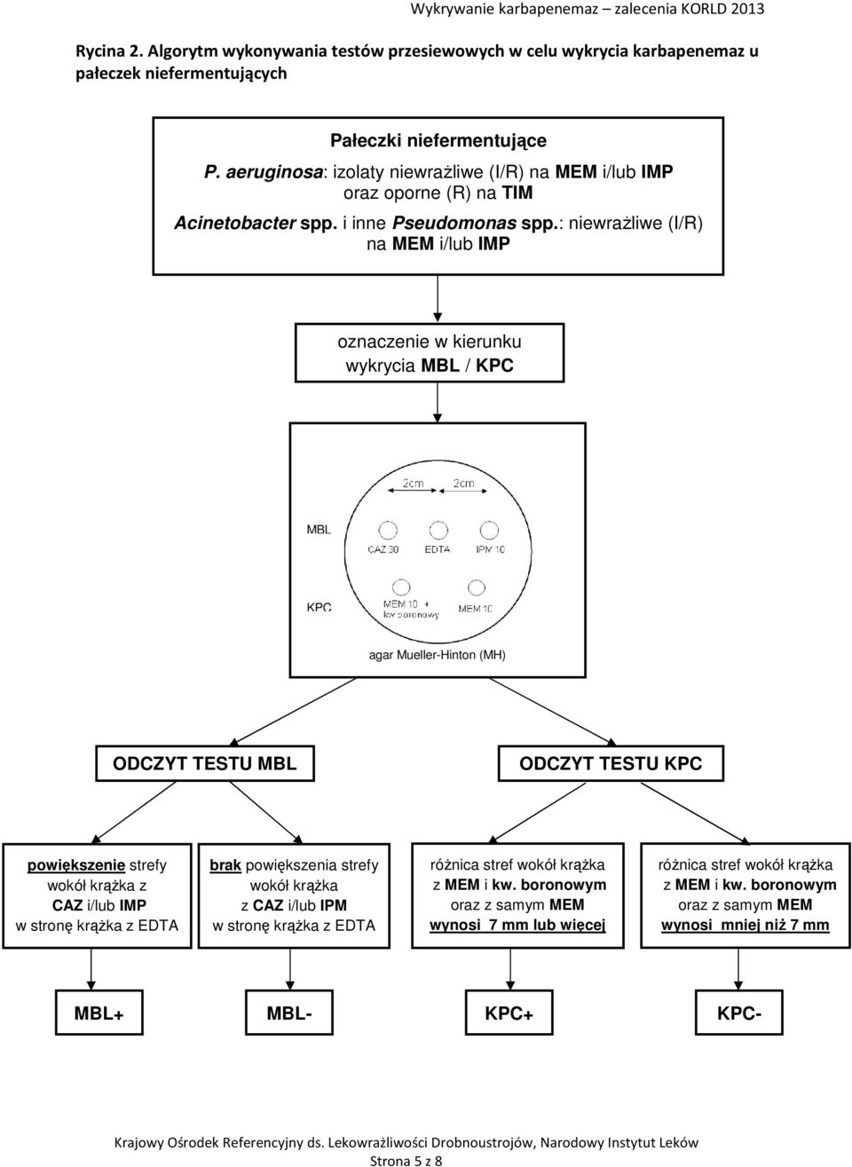 : niewrażliwe (I/R) na MEM i/lub IMP oznaczenie w kierunku wykrycia MBL / KPC MBL KPC agar Mueller-Hinton (MH) ODCZYT TESTU MBL ODCZYT TESTU KPC powiększenie strefy wokół krążka z CAZ i/lub