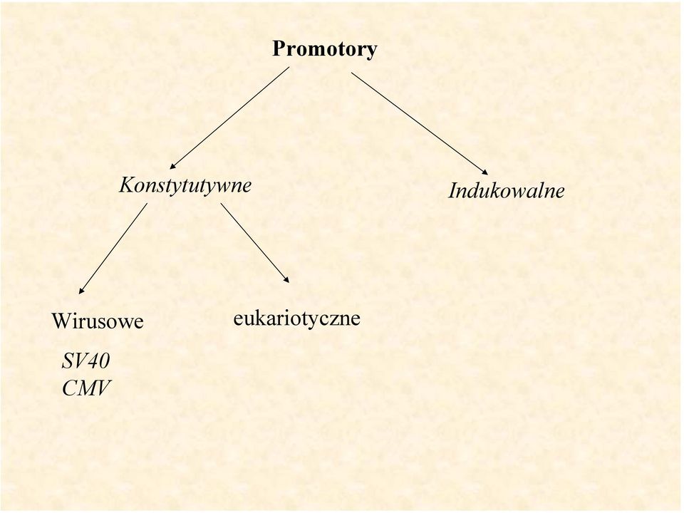 Indukowalne