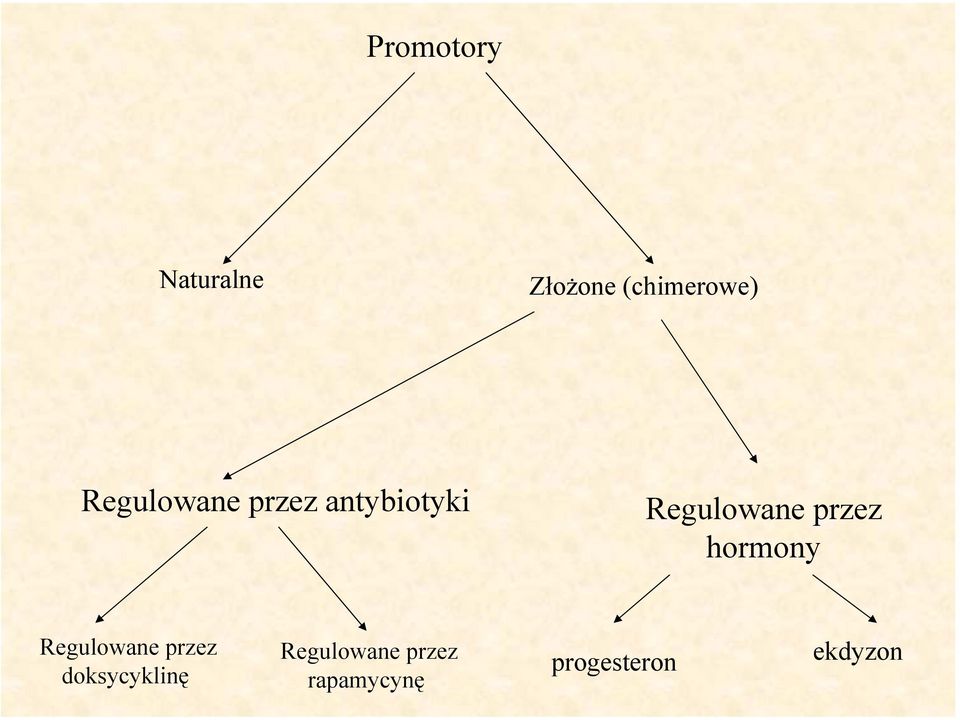 przez hormony Regulowane przez