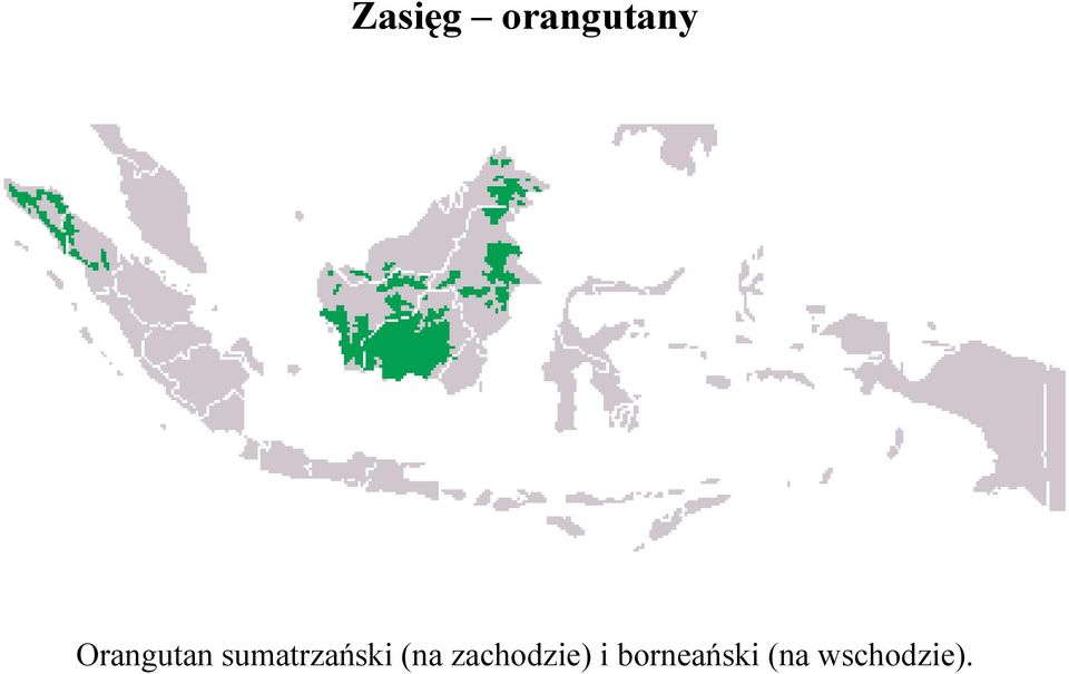 sumatrzański (na