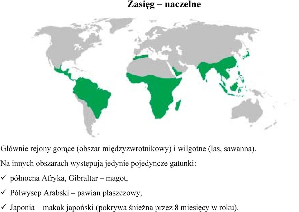 Na innych obszarach występują jedynie pojedyncze gatunki: północna
