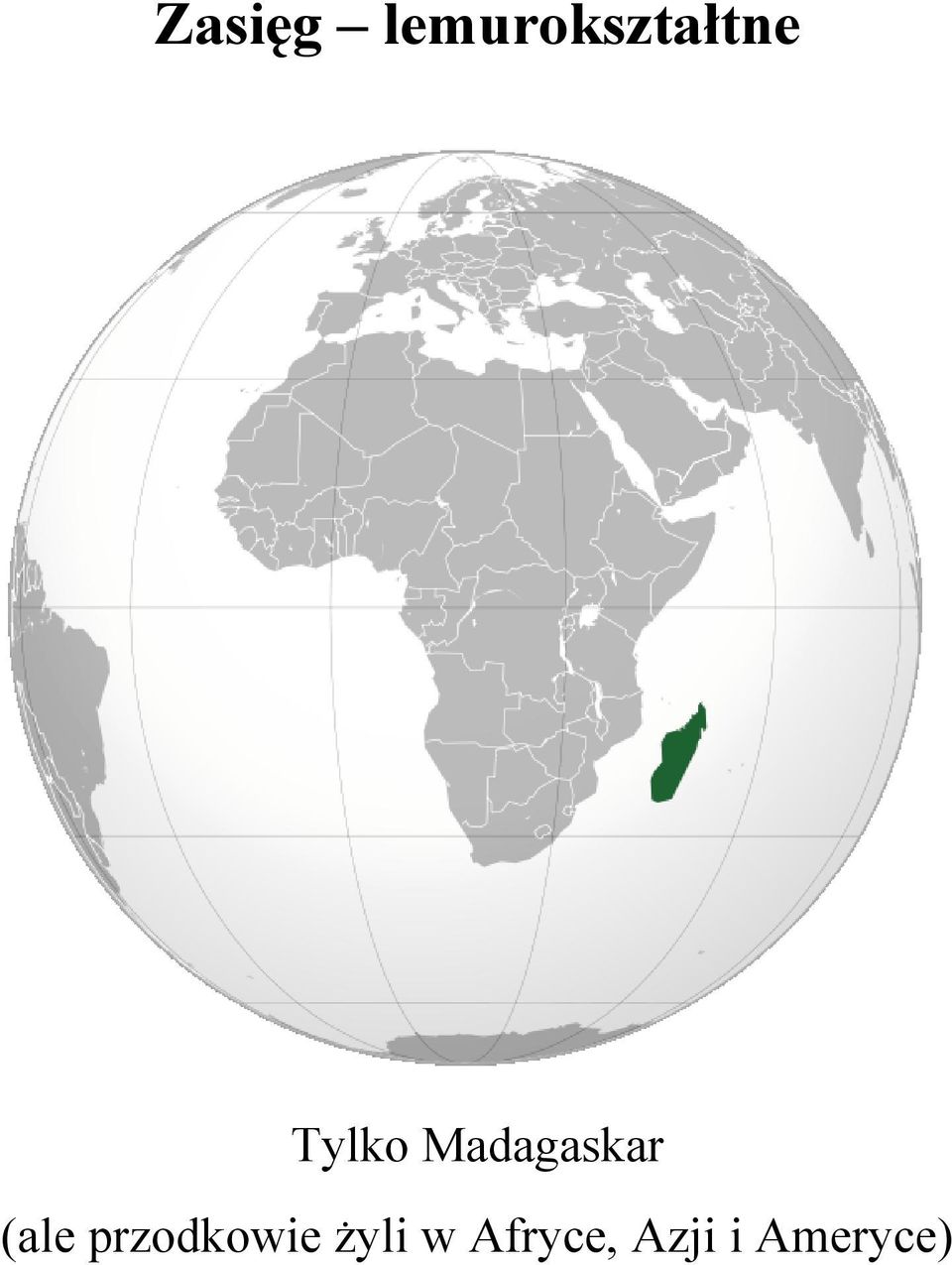 Madagaskar (ale