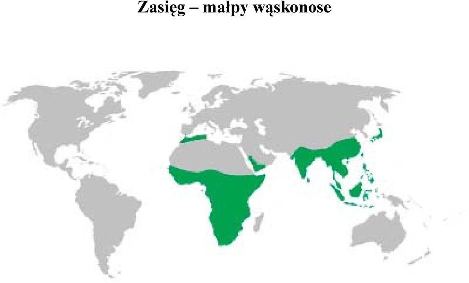 wąskonose