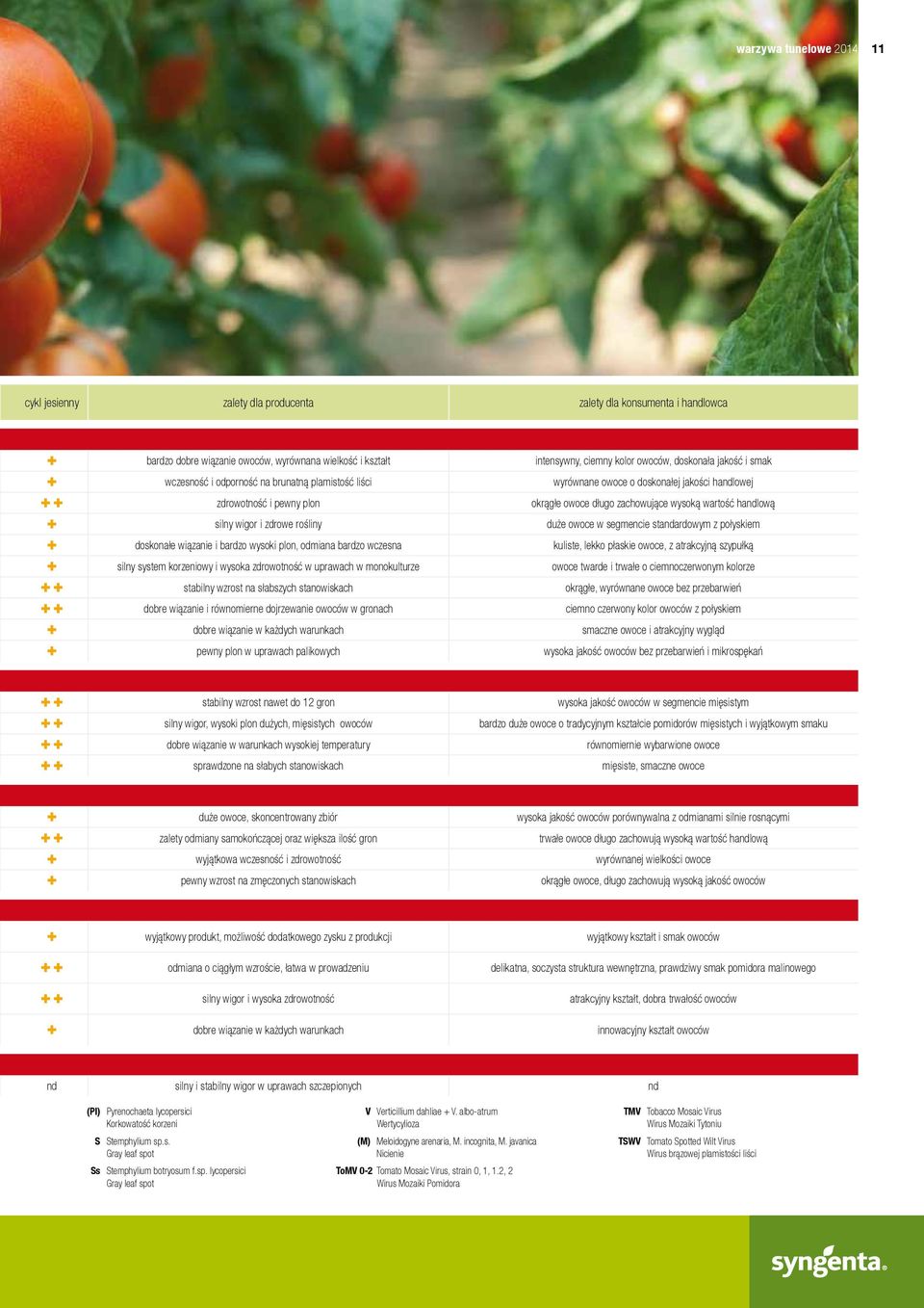 stabilny wzrost na słabszych stanowiskach dobre wiązanie i równomierne dojrzewanie owoców w gronach dobre wiązanie w każdych warunkach pewny plon w uprawach palikowych intensywny, ciemny kolor