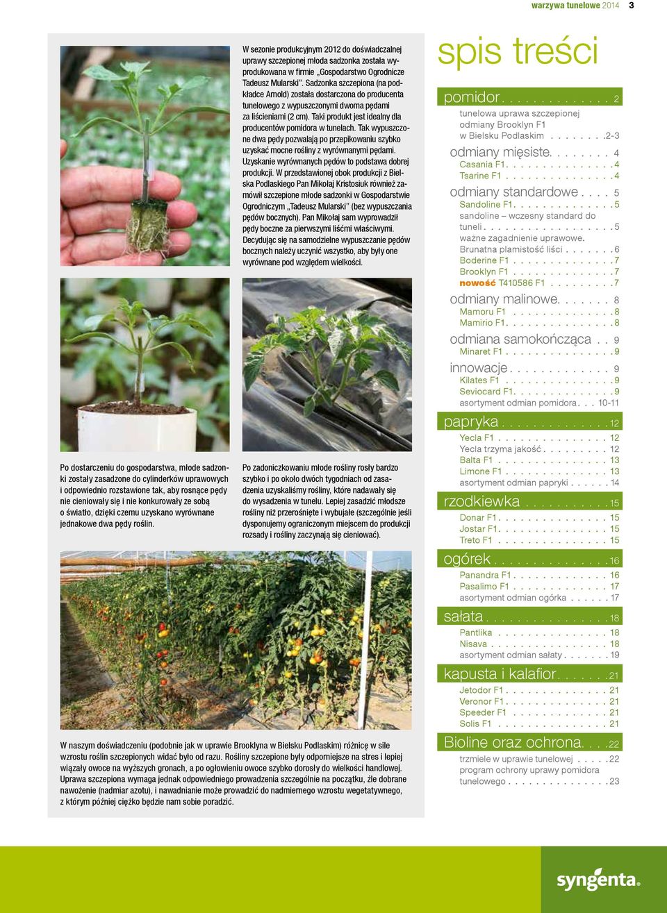 W sezonie produkcyjnym 2012 do doświadczalnej uprawy szczepionej młoda sadzonka została wyprodukowana w firmie Gospodarstwo Ogrodnicze Tadeusz Mularski.