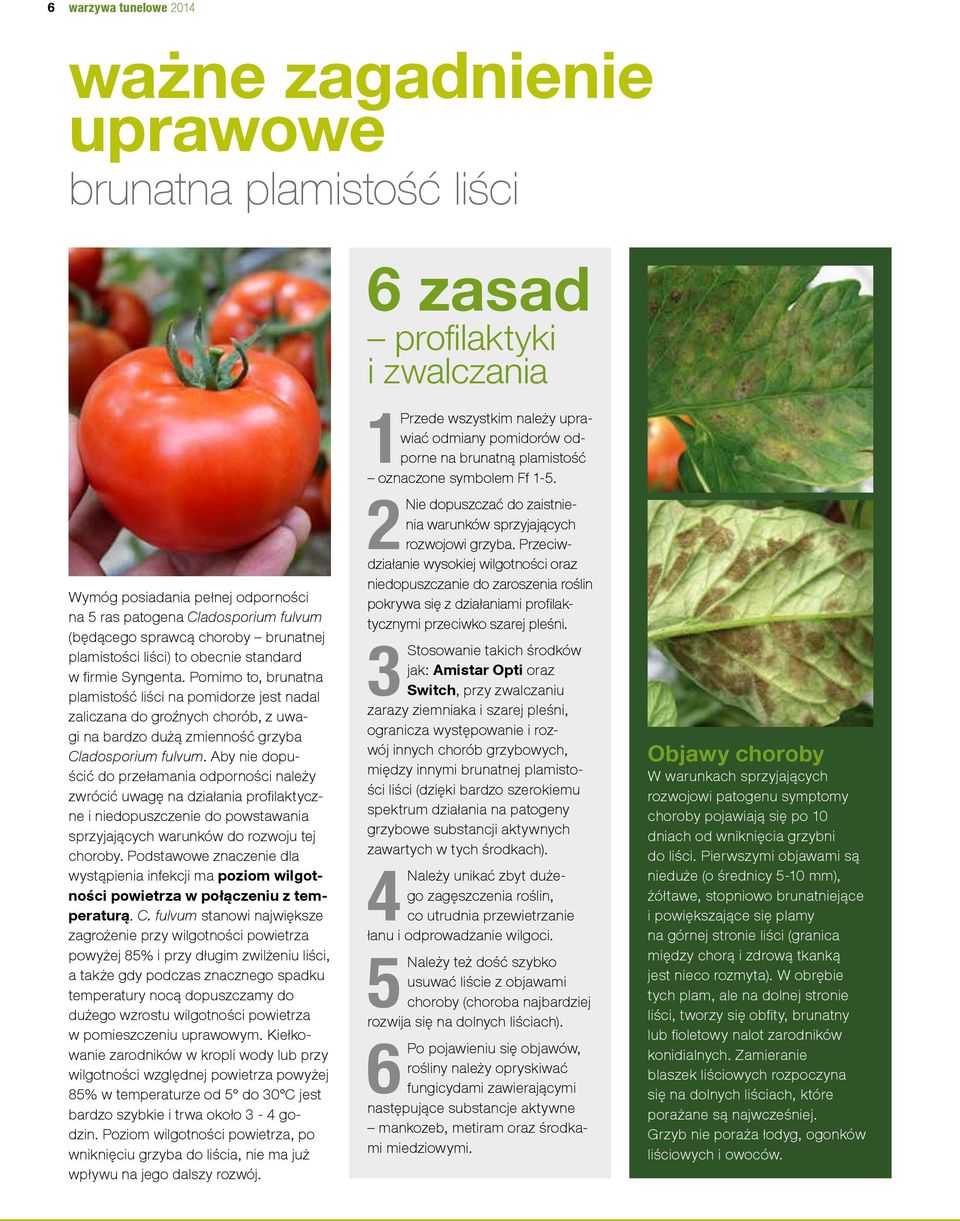 Pomimo to, brunatna plamistość liści na pomidorze jest nadal zaliczana do groźnych chorób, z uwagi na bardzo dużą zmienność grzyba Cladosporium fulvum.