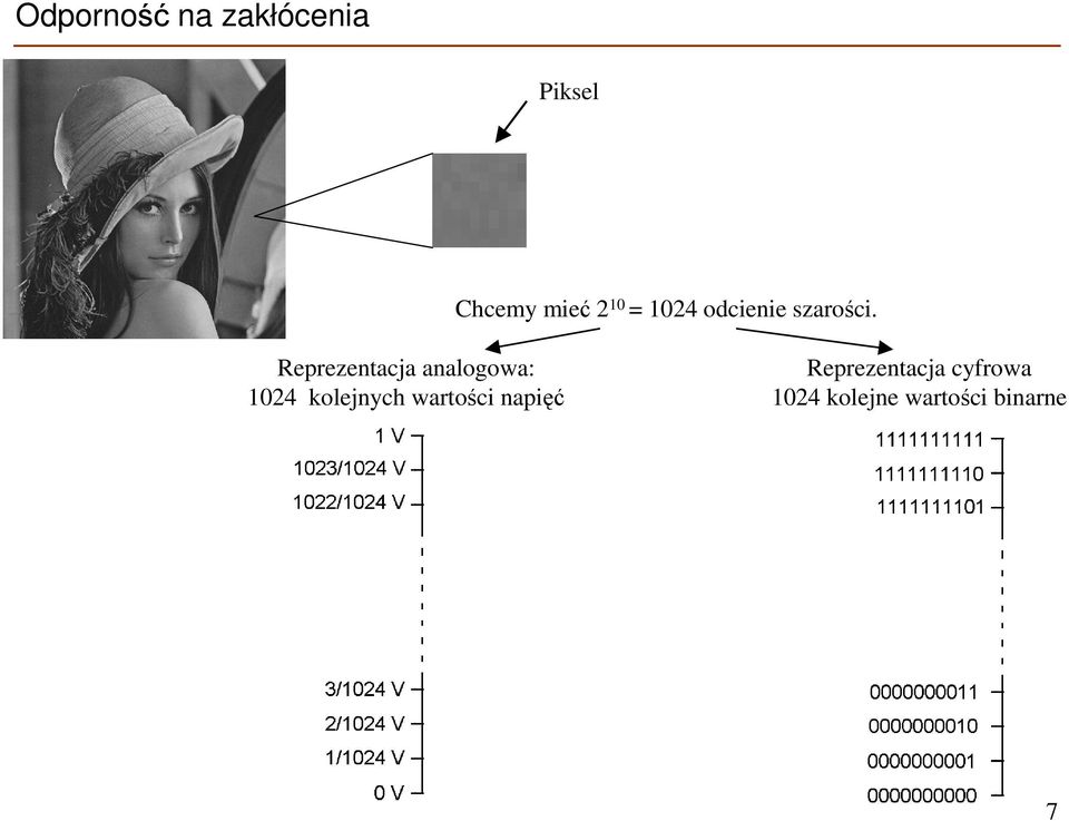 Reprezentacja analogowa: 24 kolejnych