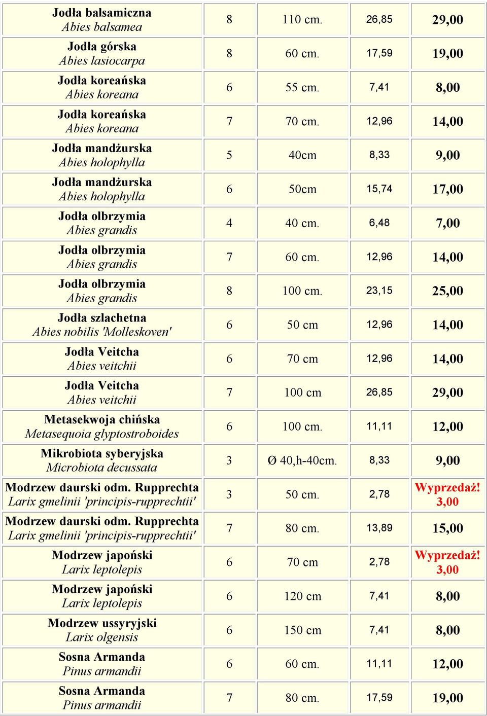 chińska Metasequoia glyptostroboides Mikrobiota syberyjska Microbiota decussata Modrzew daurski odm. Rupprechta Larix gmelinii 'principis-rupprechtii' Modrzew daurski odm.