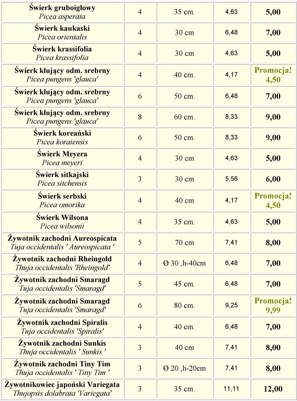 srebrny Picea pungens 'glauca' Świerk koreański Picea koraiensis Świerk Meyera Picea meyeri Świerk sitkajski Picea sitchensis Świerk serbski Picea omorika Świerk Wilsona Picea wilsonii Żywotnik