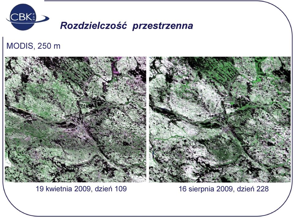 m 19 kwietnia 2009,