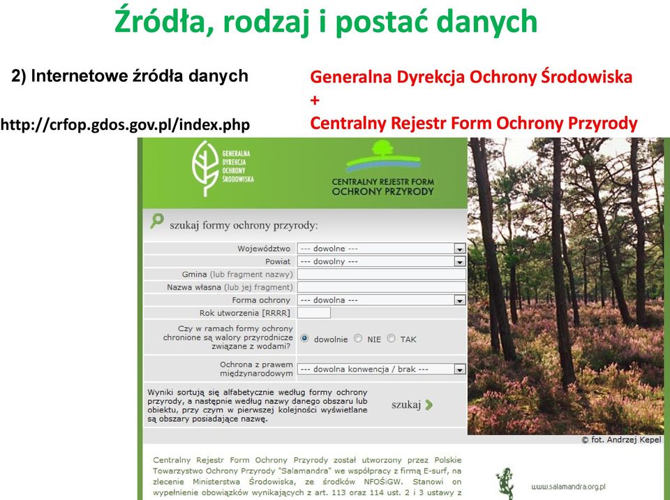 Dyrekcja Ochrony Środowiska + Centralny