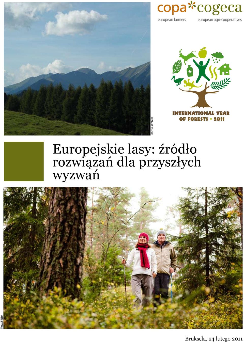 wyzwań Metsäliitto Martin