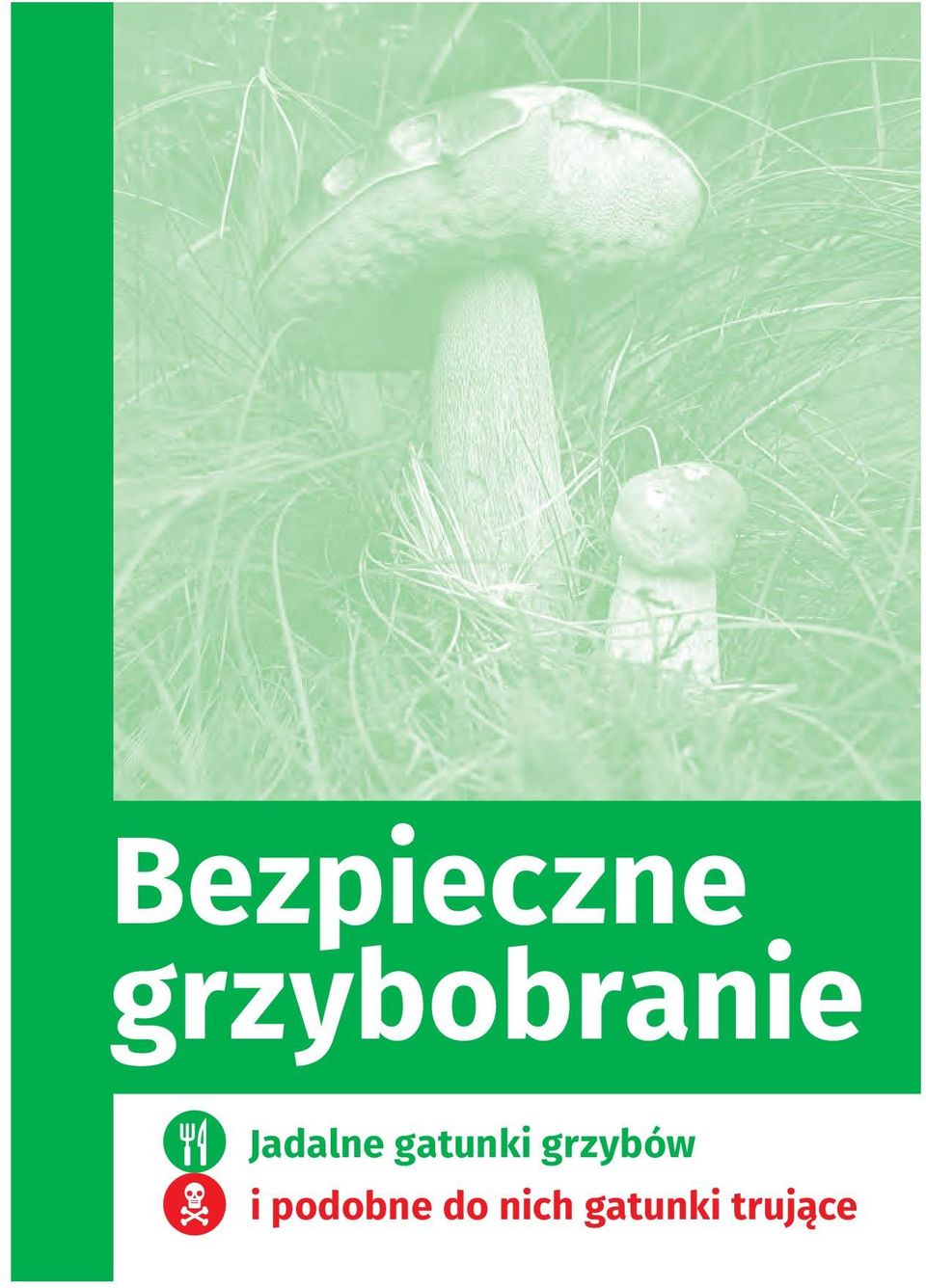 gatunki grzybów i