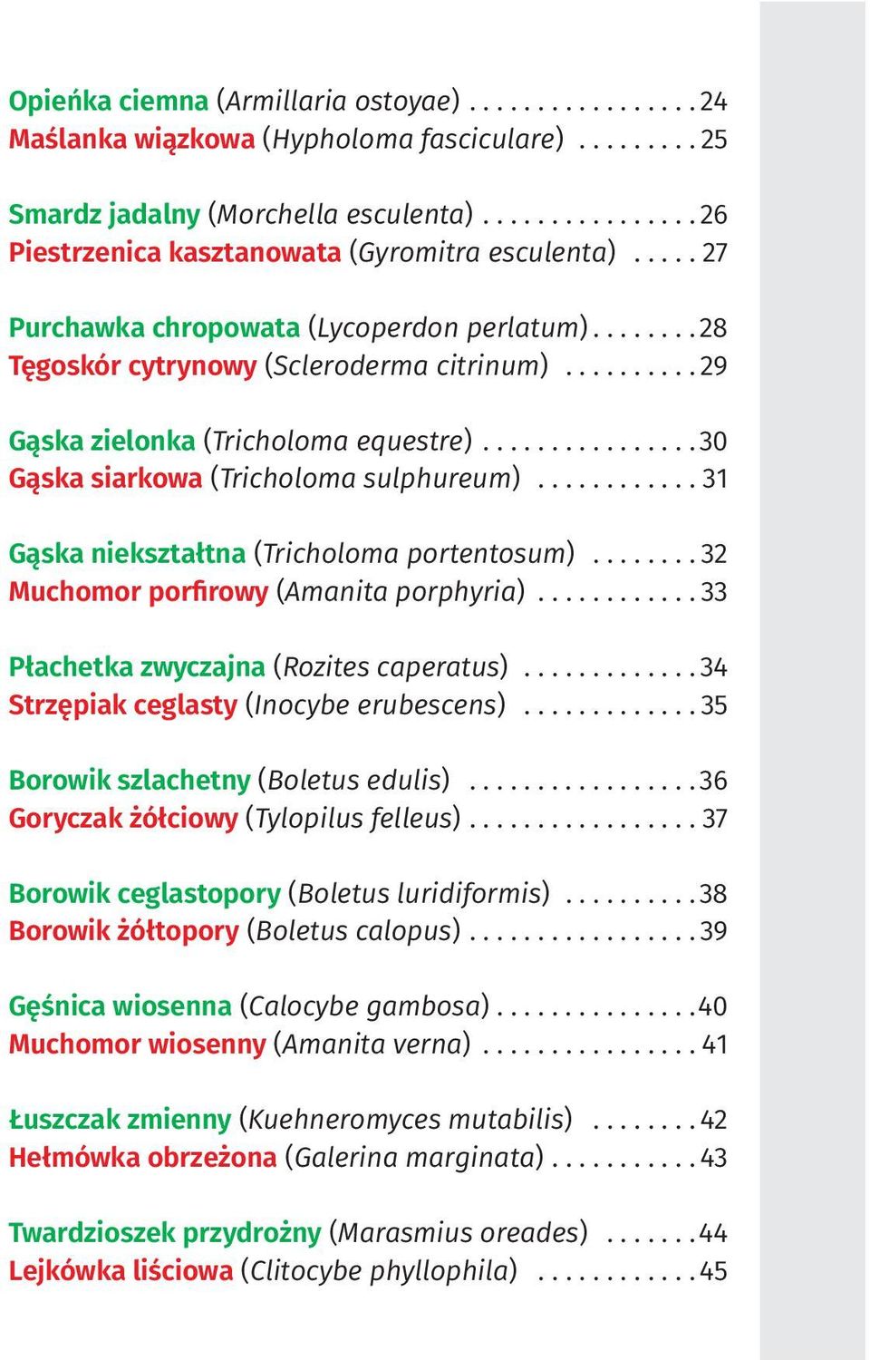 ........... 31 Gąska niekształtna (Tricholoma portentosum)........ 32 Muchomor porfirowy (Amanita porphyria)............ 33 Płachetka zwyczajna (Rozites caperatus).