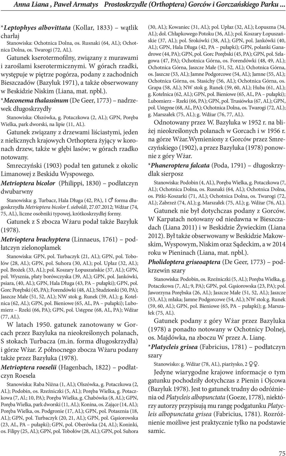 W górach rzadki, występuje w piętrze pogórza, podany z zachodnich Bieszczadów (Bazyluk 1971), a także obserwowany w Beskidzie Niskim (Liana, mat. npbl.). *Meconema thalassinum (De Geer, 1773) nadrzewek długoskrzydły Stanowiska: Olszówka, g.