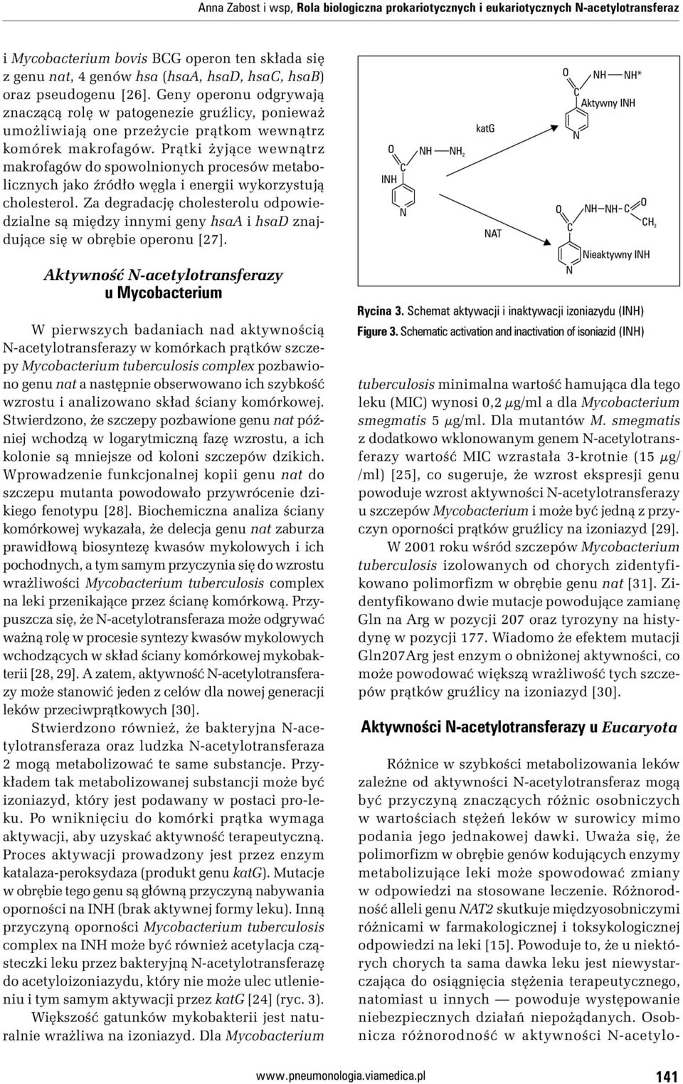 Prątki żyjące wewnątrz makrofagów do spowolnionych procesów metabolicznych jako źródło węgla i energii wykorzystują cholesterol.