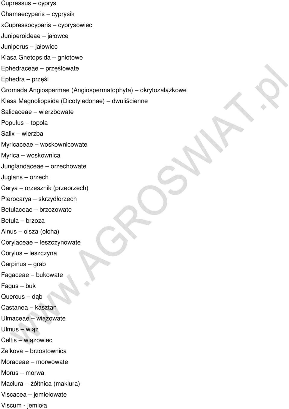 wierzba Myricaceae ЈC woskownicowate Myrica ЈC woskownica Junglandaceae ЈC orzechowate Juglans ЈC orzech Carya ЈC orzesznik (przeorzech) Pterocarya ЈC skrzyd 0 0orzech Betulaceae ЈC brzozowate Betula