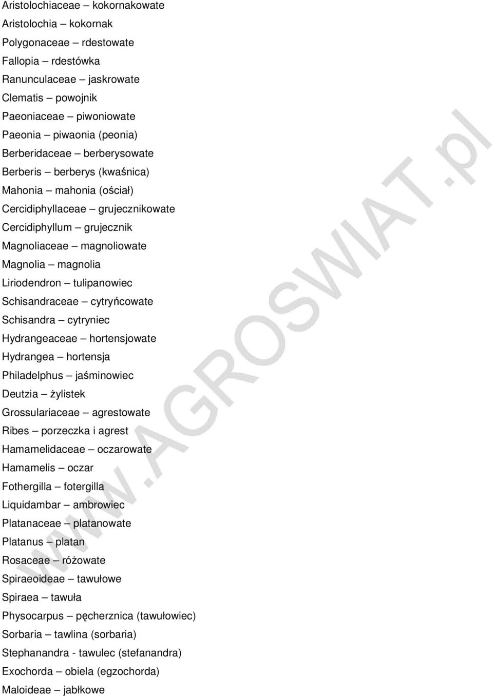 magnoliowate Magnolia ЈC magnolia Liriodendron ЈC tulipanowiec Schisandraceae ЈC cytryјнcowate Schisandra ЈC cytryniec Hydrangeaceae ЈC hortensjowate Hydrangea ЈC hortensja Philadelphus ЈC ja 0