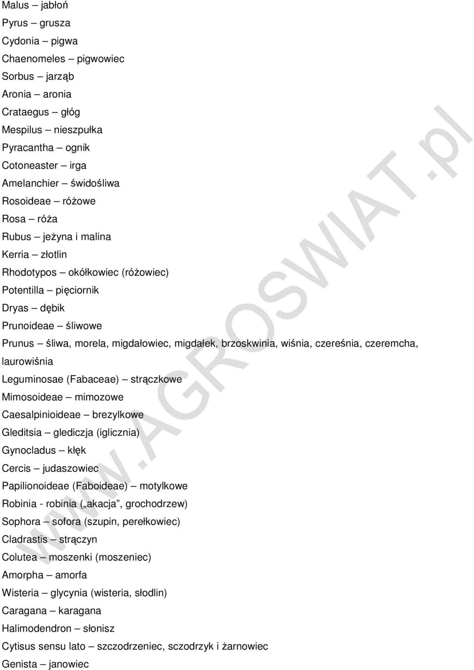 1ciornik Dryas ЈC d 0 1bik Prunoideae ЈC 0 2liwowe Prunus ЈC 0 2liwa, morela, migda 0 0owiec, migda 0 0ek, brzoskwinia, wi 0 2nia, czere 0 2nia, czeremcha, laurowi 0 2nia Leguminosae (Fabaceae) ЈC
