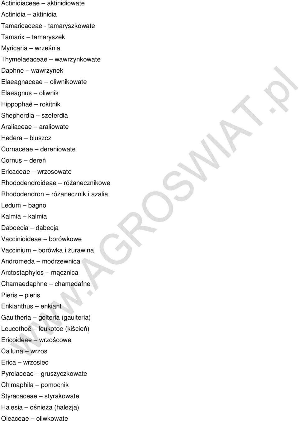 Rhododendroideae ЈC rјў 0 3anecznikowe Rhododendron ЈC rјў 0 3anecznik i azalia Ledum ЈC bagno Kalmia ЈC kalmia Daboecia ЈC dabecja Vaccinioideae ЈC borјўwkowe Vaccinium ЈC borјўwka i 0 3urawina