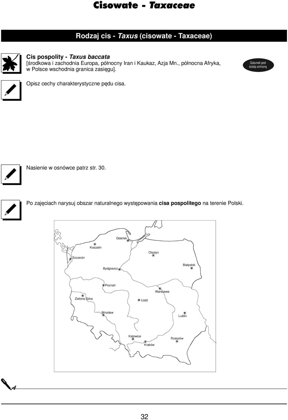 Gatunek pod ścisłą ochroną Opisz cechy charakterystyczne pędu cisa. Nasienie w osnówce patrz str. 30.